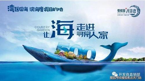 阳江最新爆料,揭秘神秘事件背后的真相  第2张