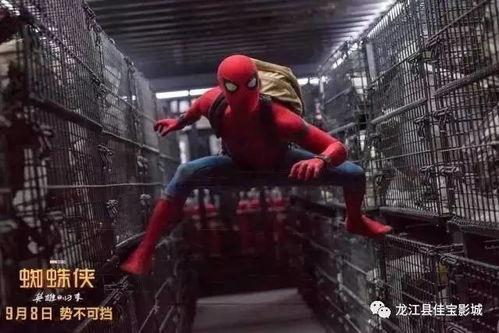 蜘蛛侠英雄归来在线观看免费 第2张 蜘蛛侠英雄归来在线观看免费 第2张